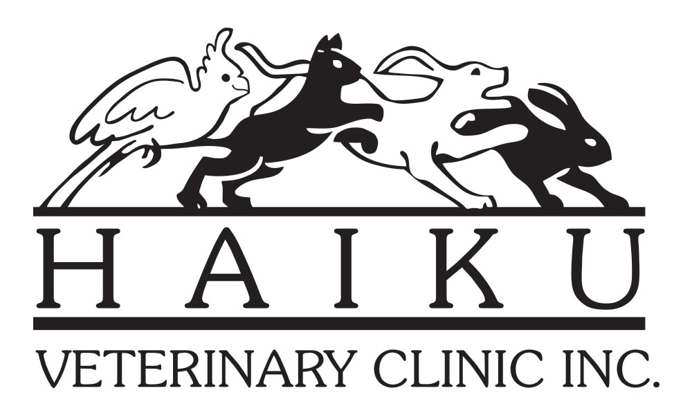 Haiku Veterinary Clinic Shop